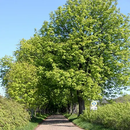 아파트 Hafenhaeuser Wiek Ferienwohnung 06