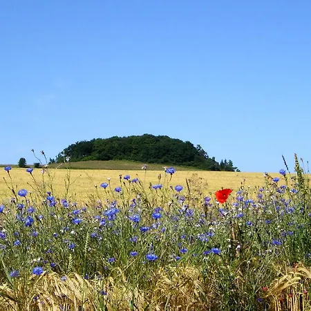 Hafenhaeuser Wiek Ferienwohnung 06 아파트 Wiek auf Rügen